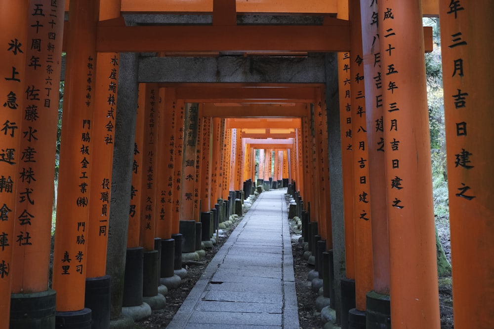 a walkway lined with orange tori tori tori tori tori tori tori tori tori tori tori