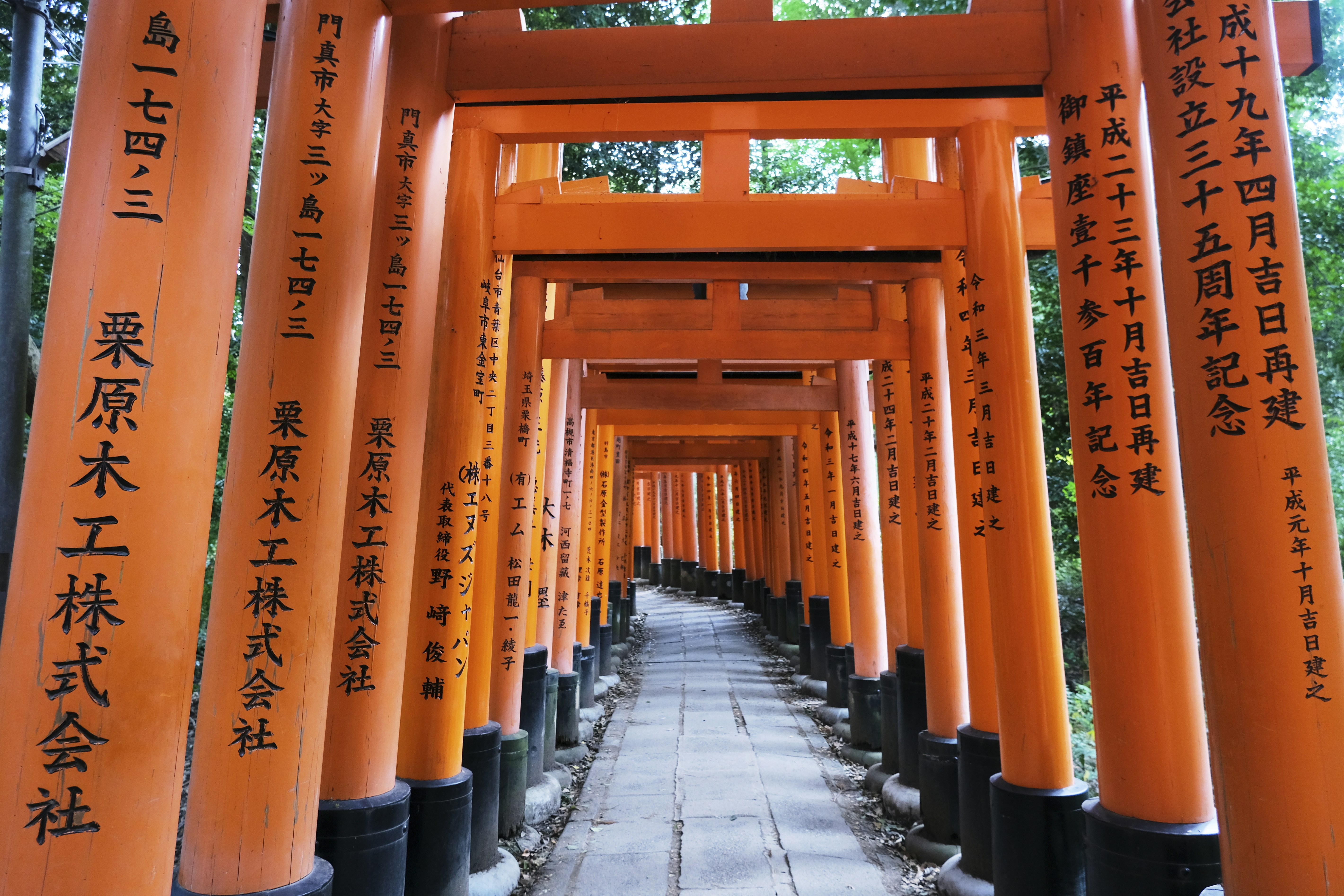 Photo by rebeccaclarke