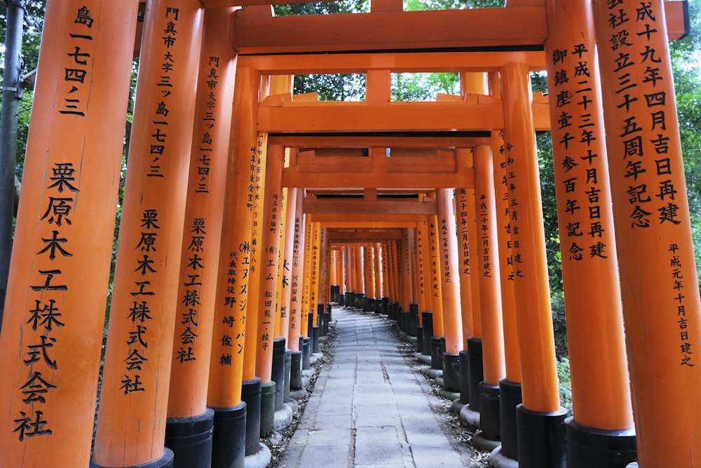 a long line of orange tori tori tori tori tori tori tori tori tori tori tori