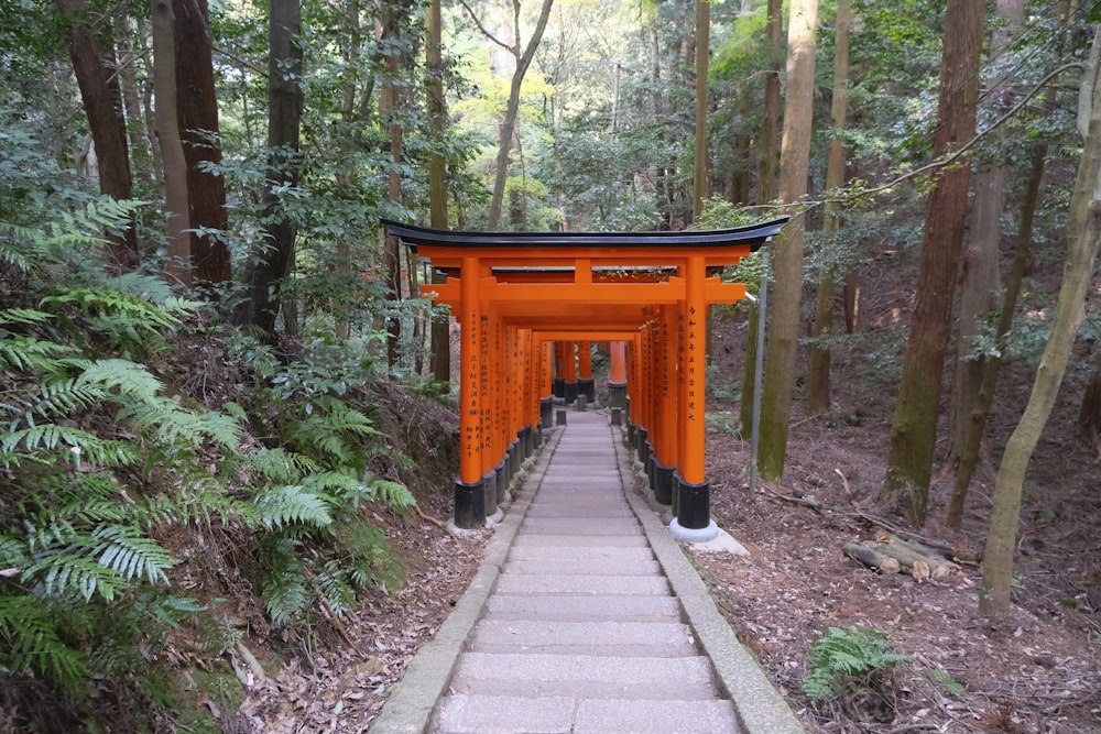 a path leading to a shrine in a forest