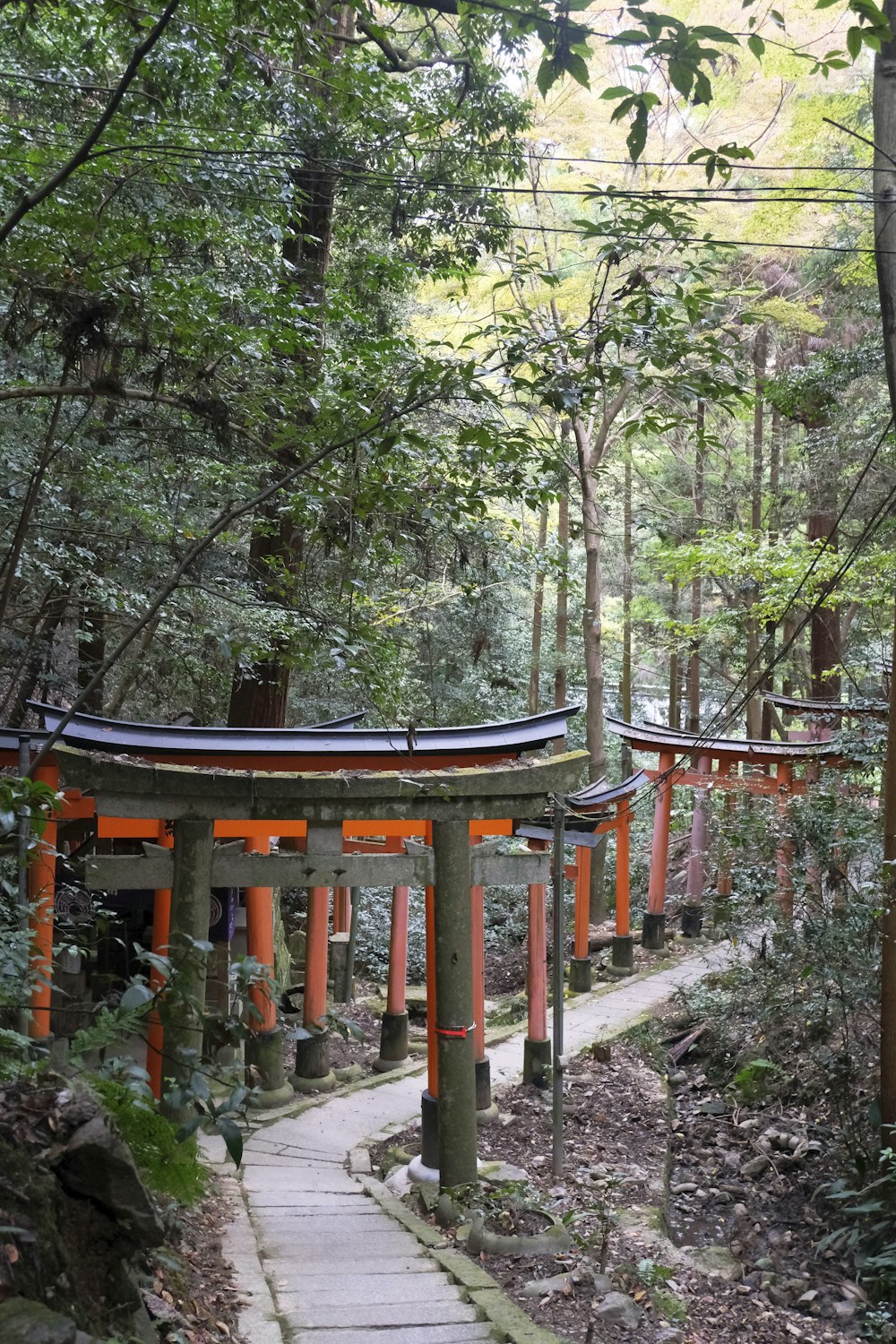 um caminho que leva através de uma floresta com um pequeno santuário no meio