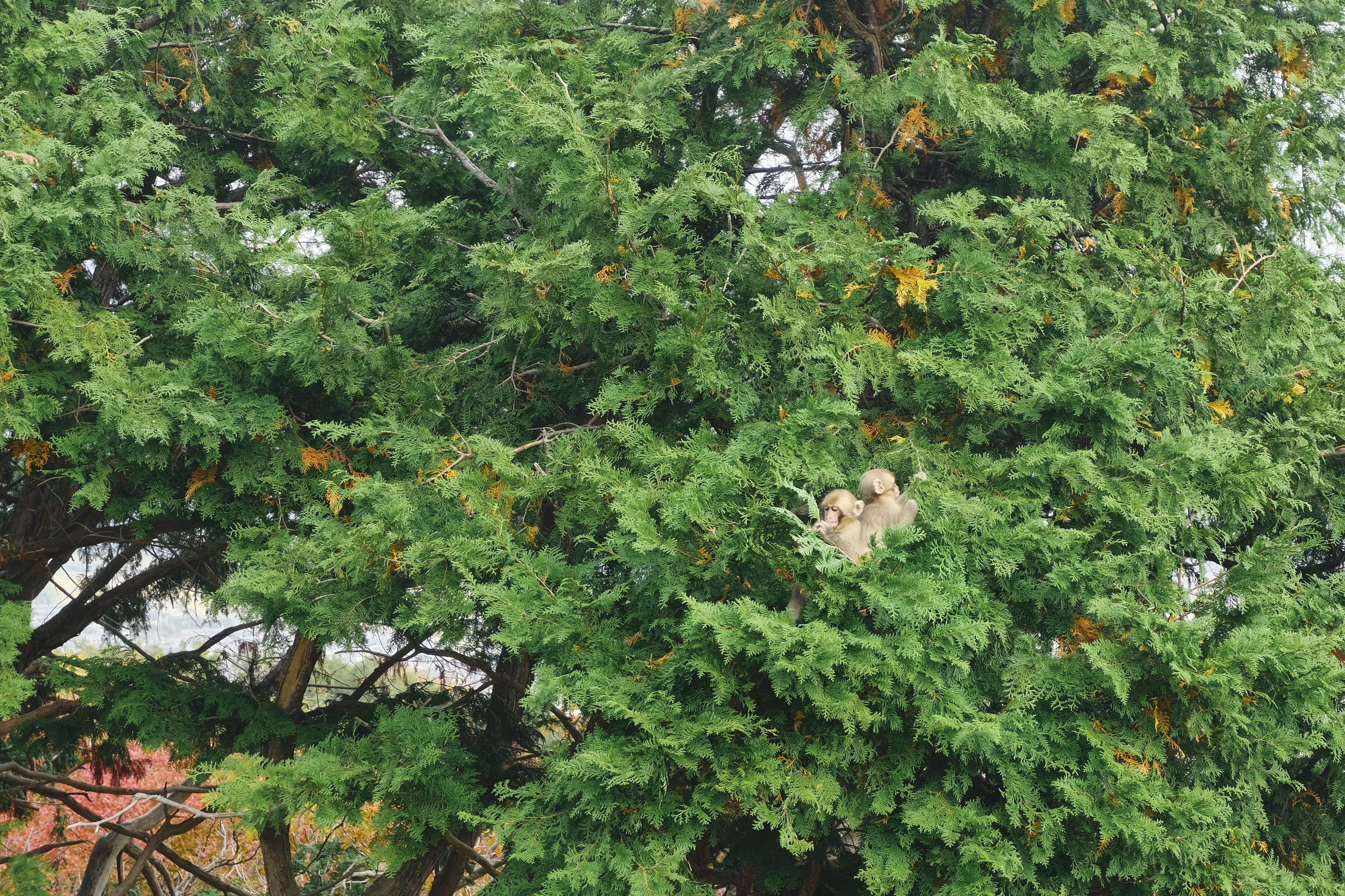 Photo by rebeccaclarke