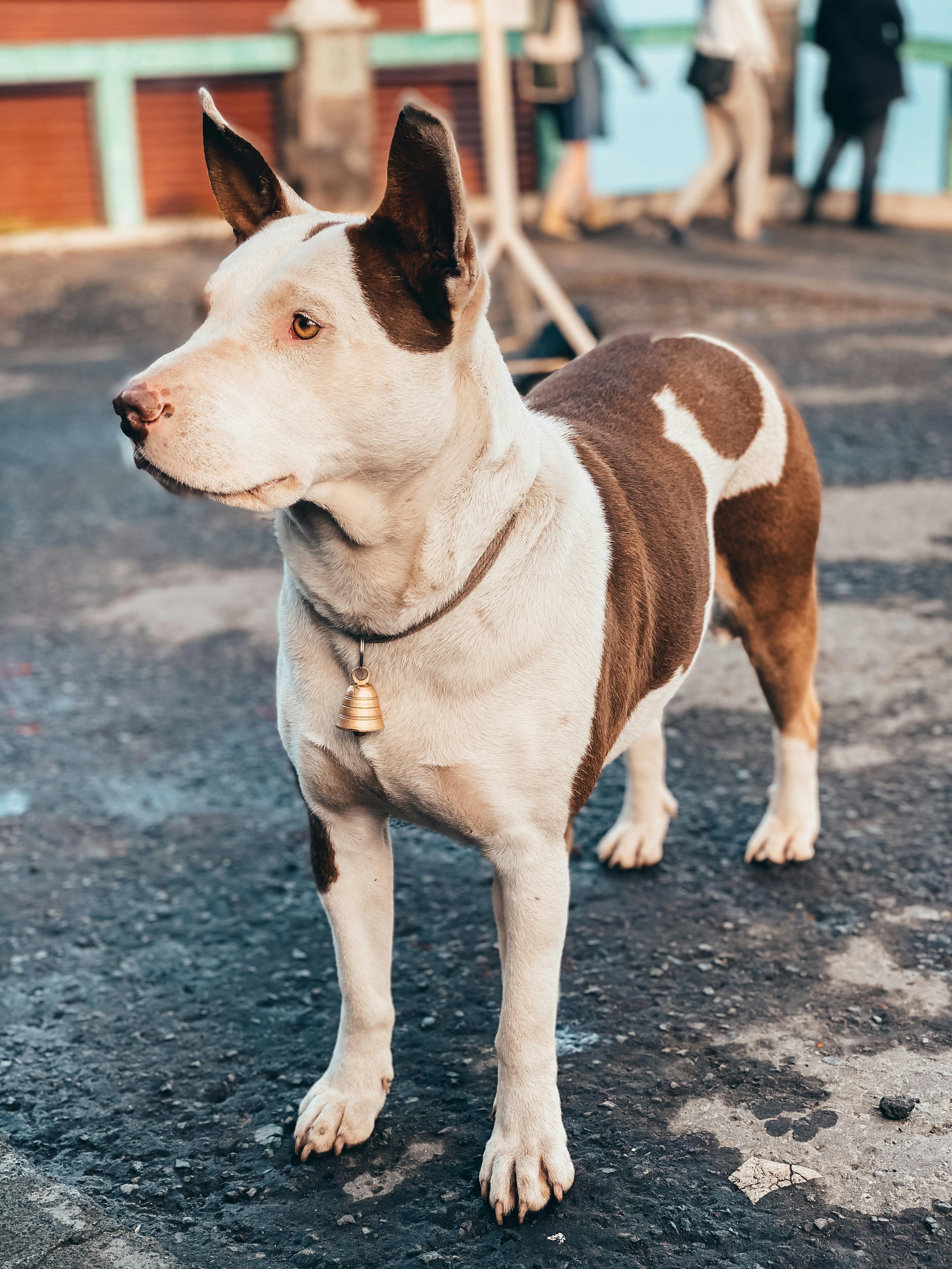 Photo by ll_zblack_ll