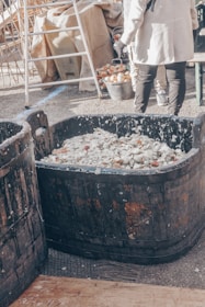 Close-up of hands inspecting fresh sauerkraut in a rustic wooden barrel.