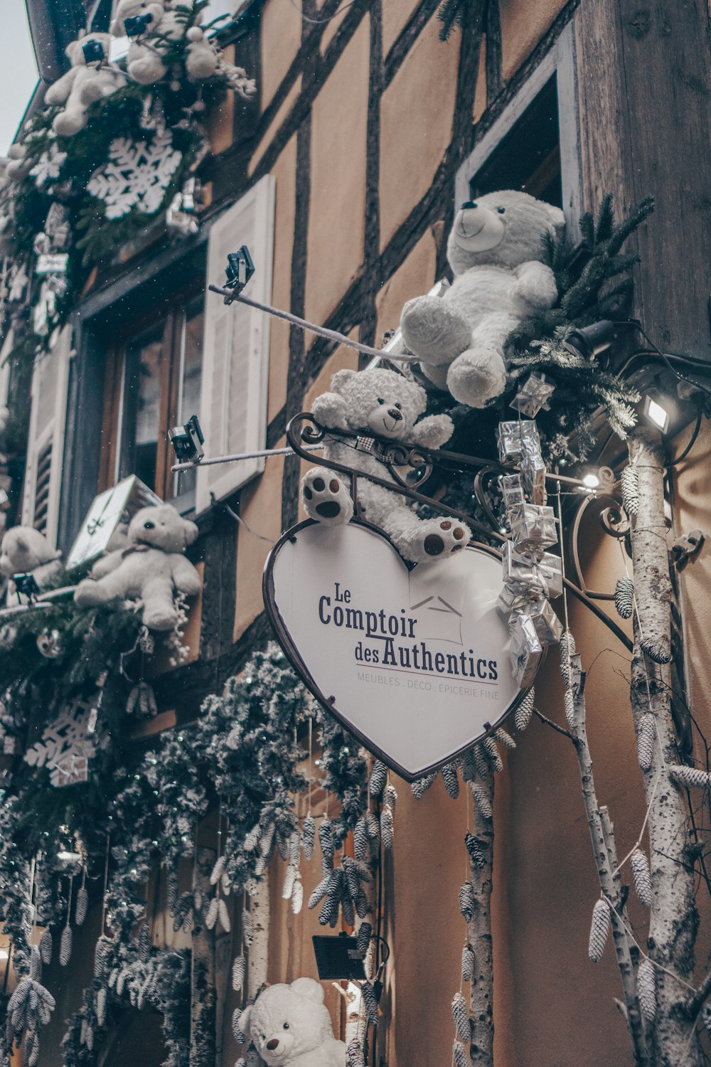 a teddy bear hanging from the side of a building