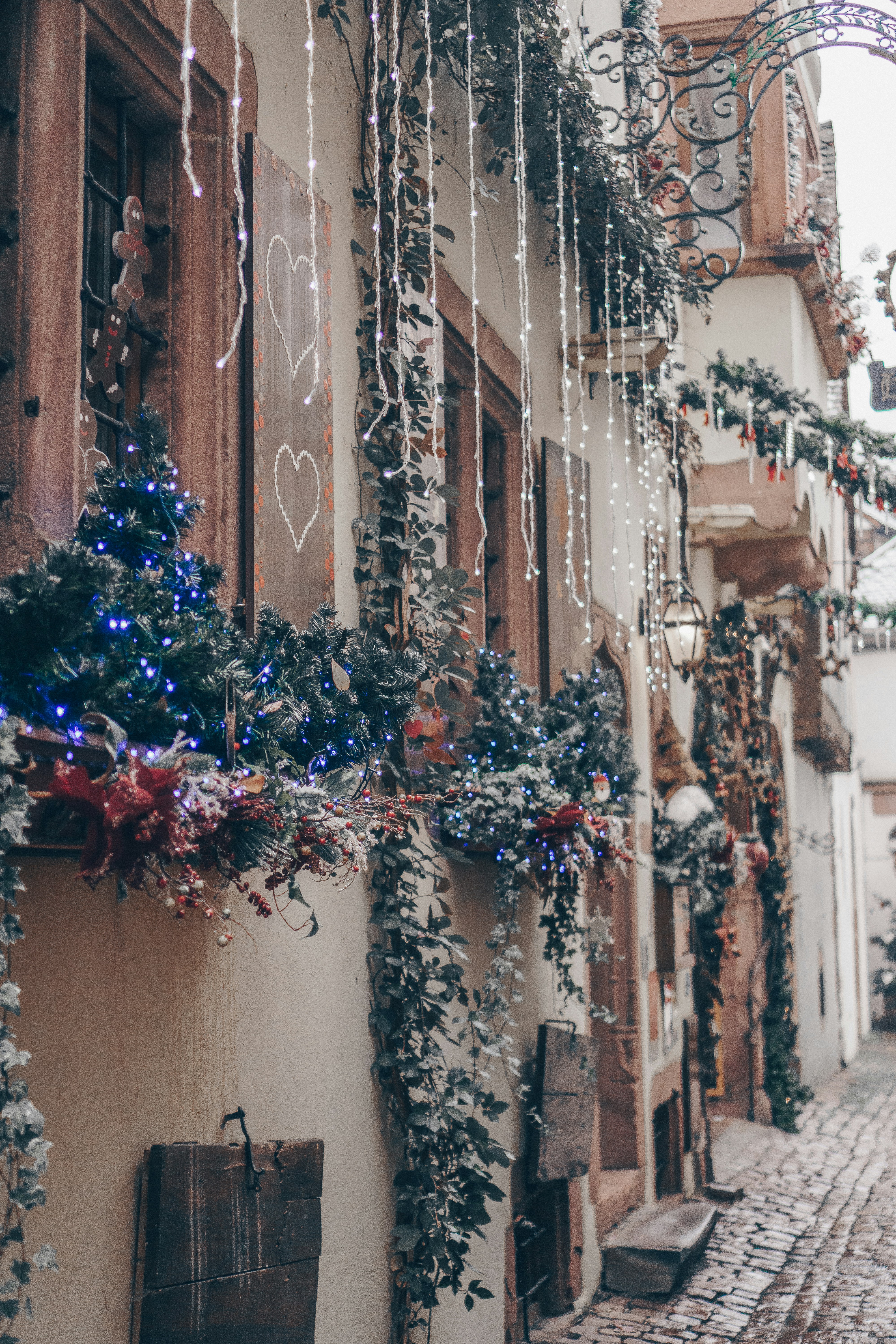 Photo by filizelaerts