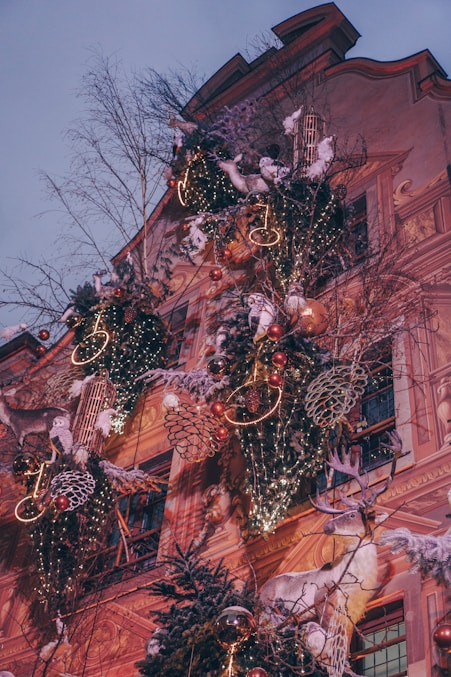 a christmas tree in front of a building