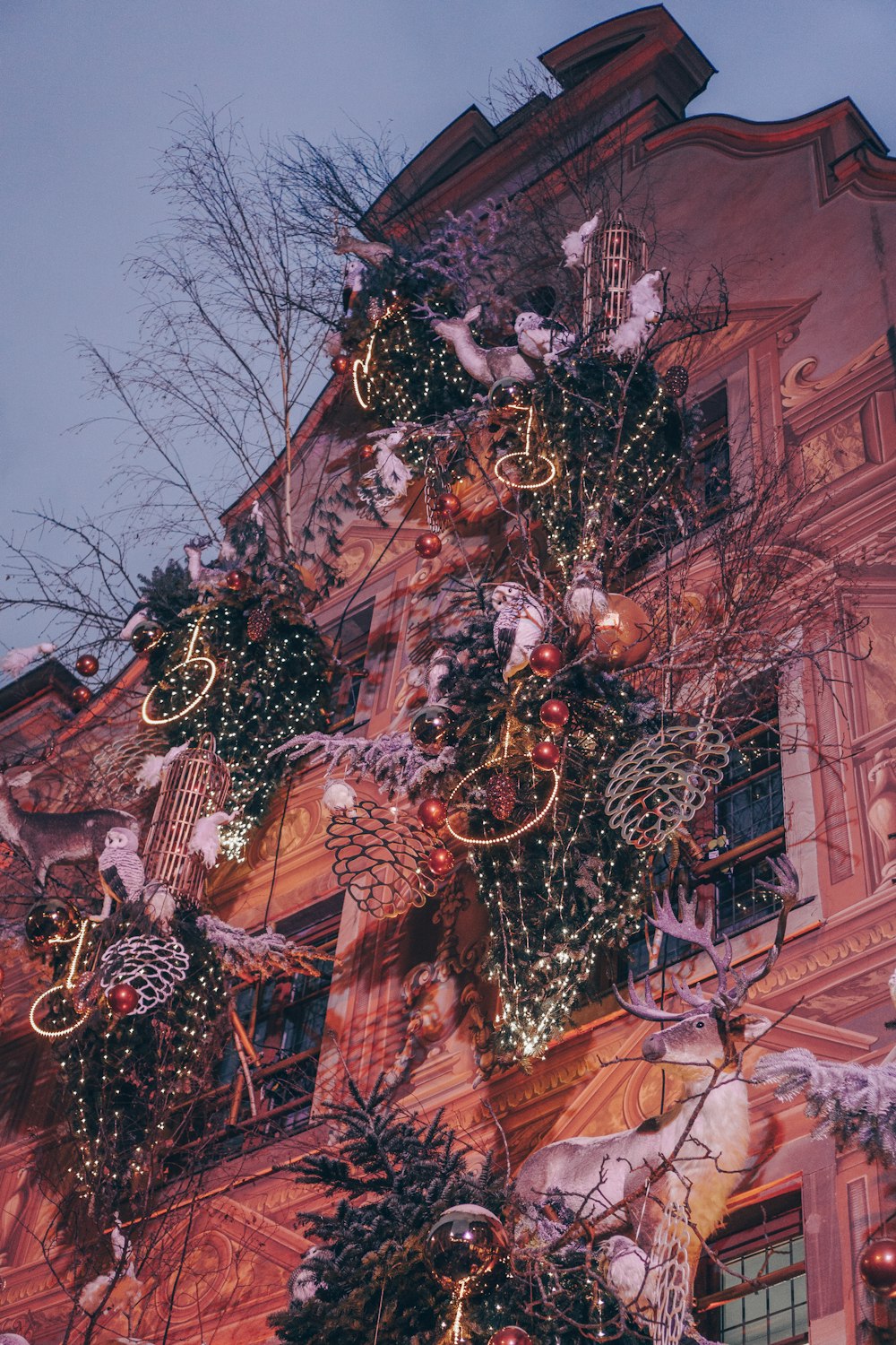 a christmas tree in front of a building