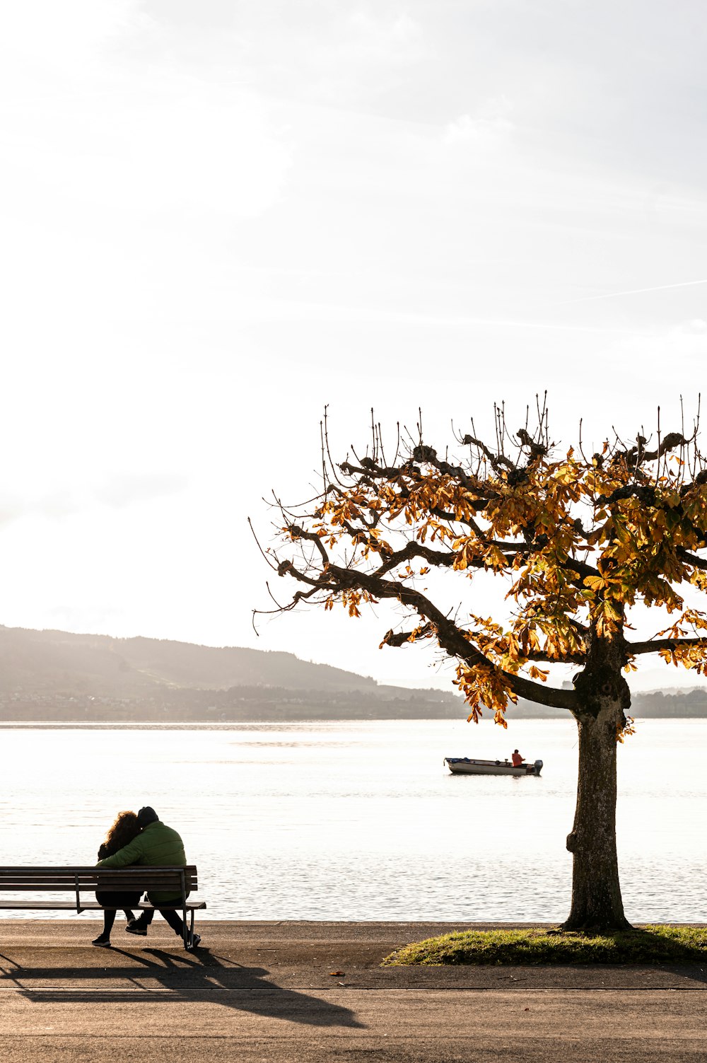 two people sitting on a bench next to a tree