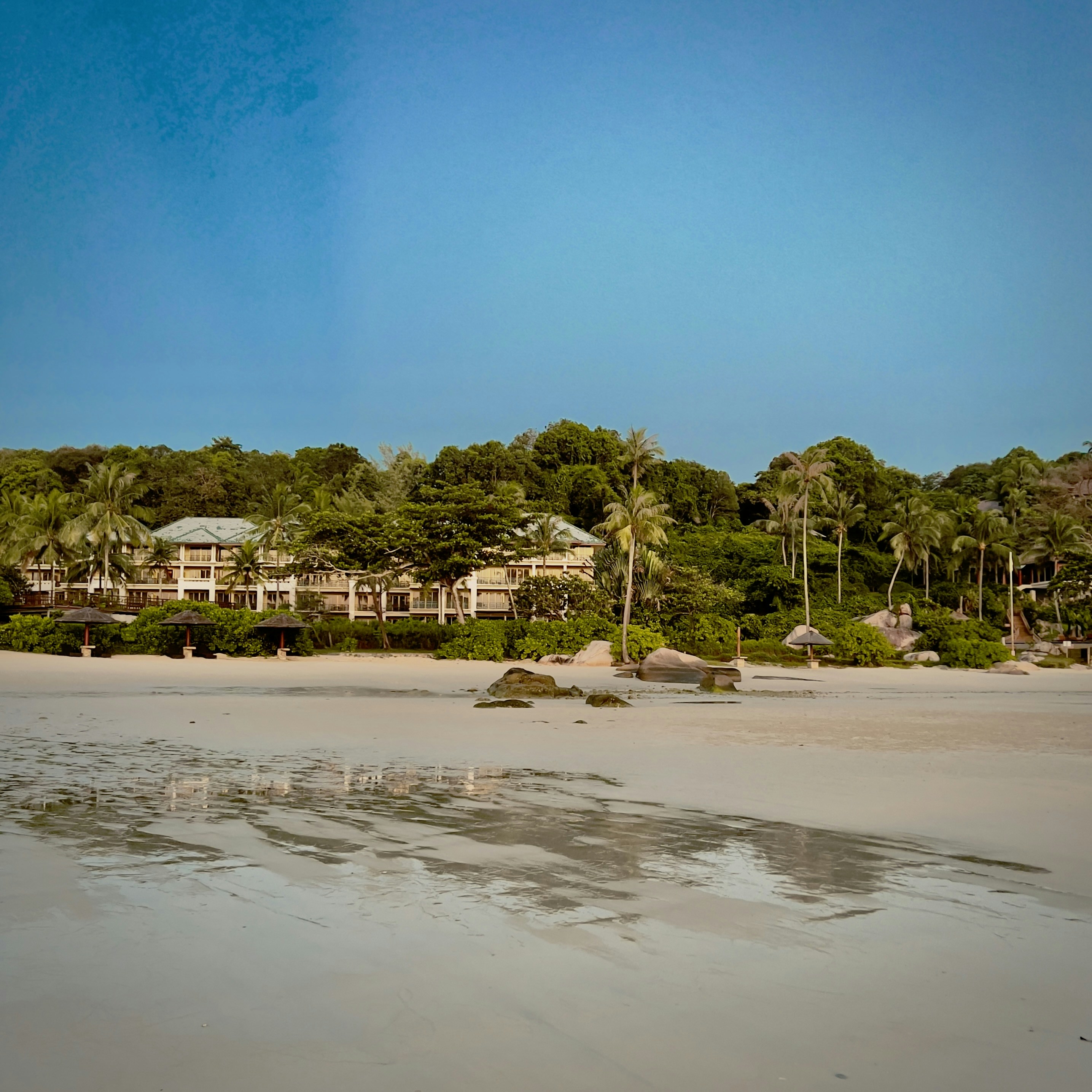 Photo by horseratbros