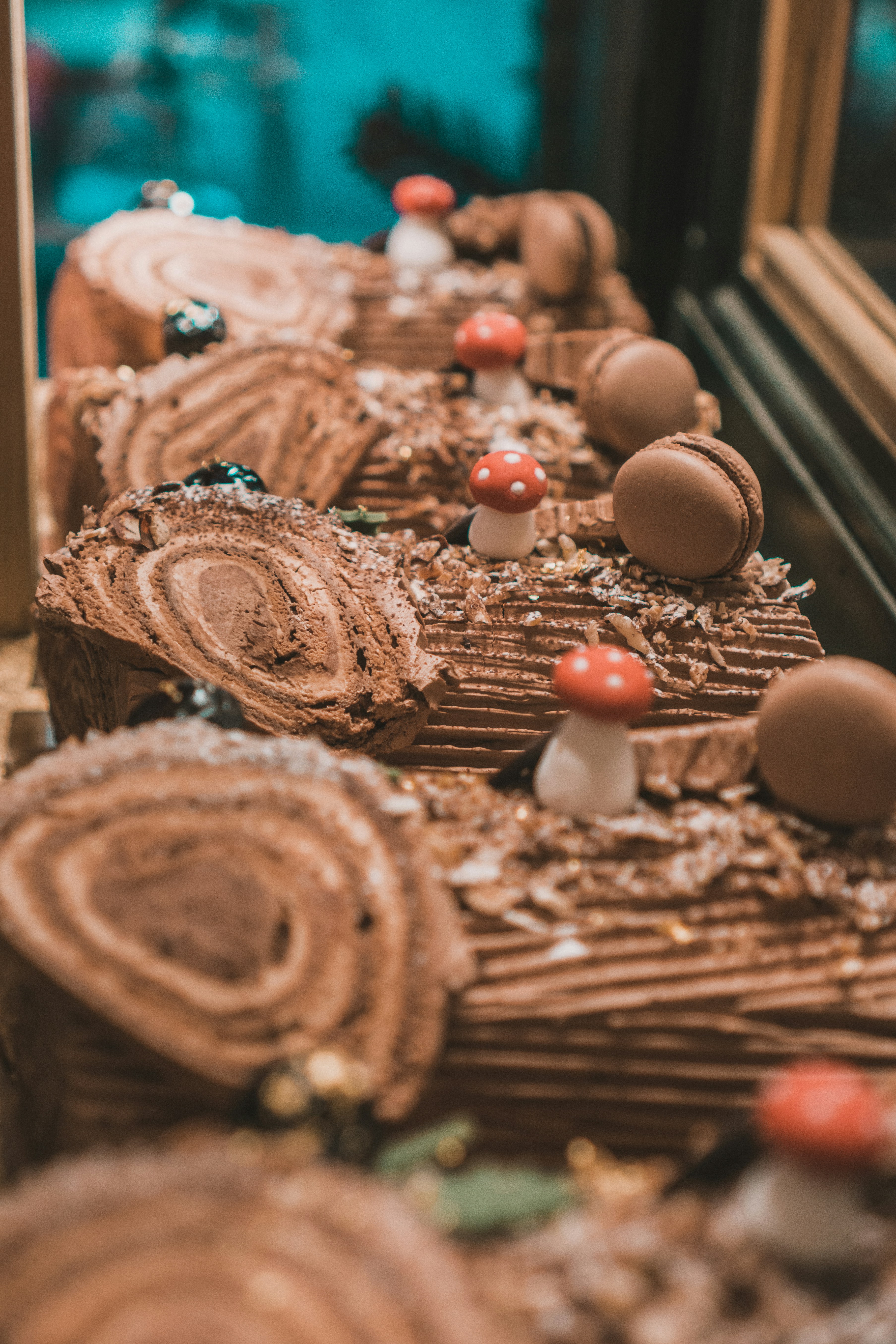 Photo by filizelaerts