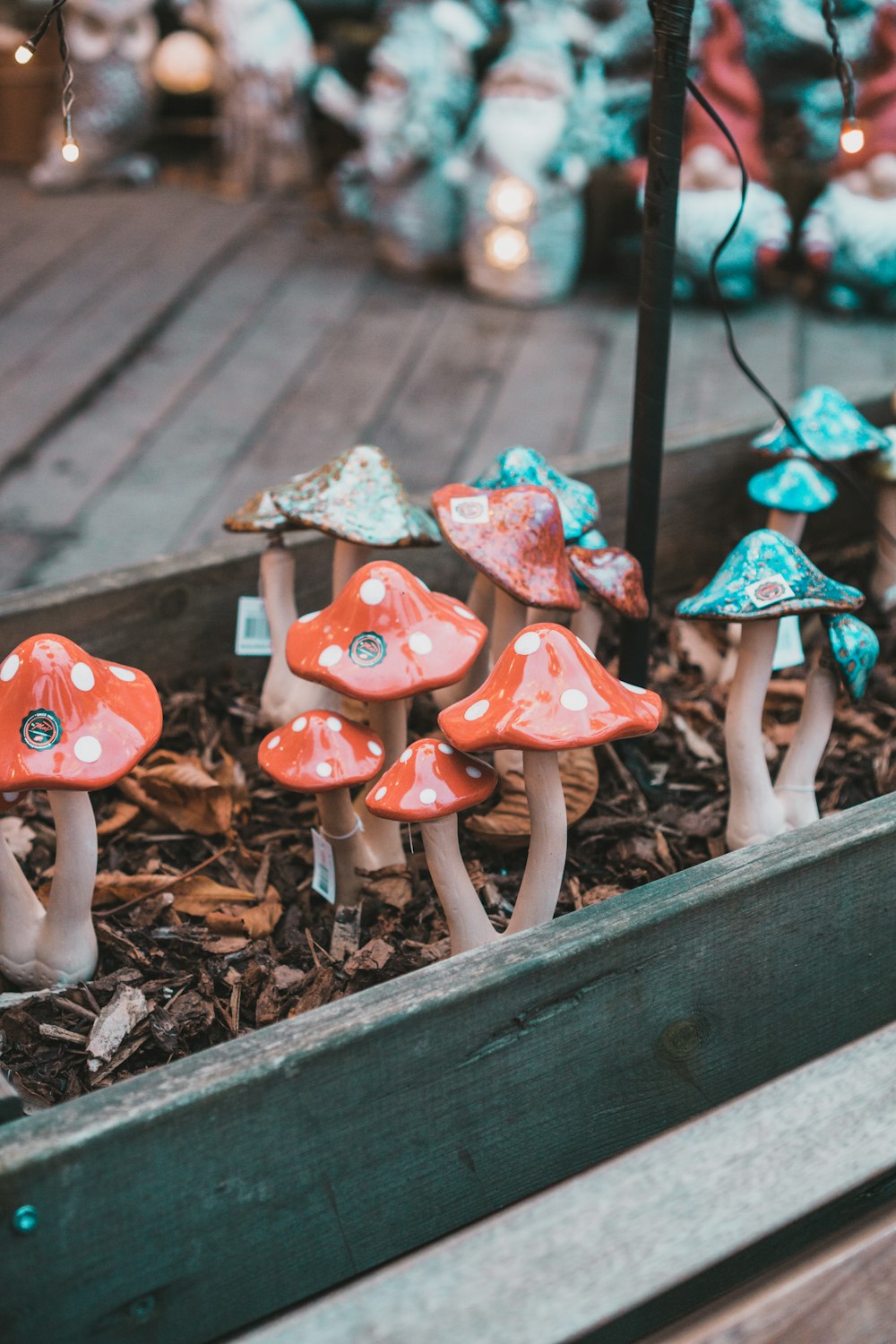 a group of mushrooms sitting in a wooden box