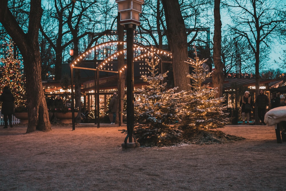 a lit up christmas tree in a park