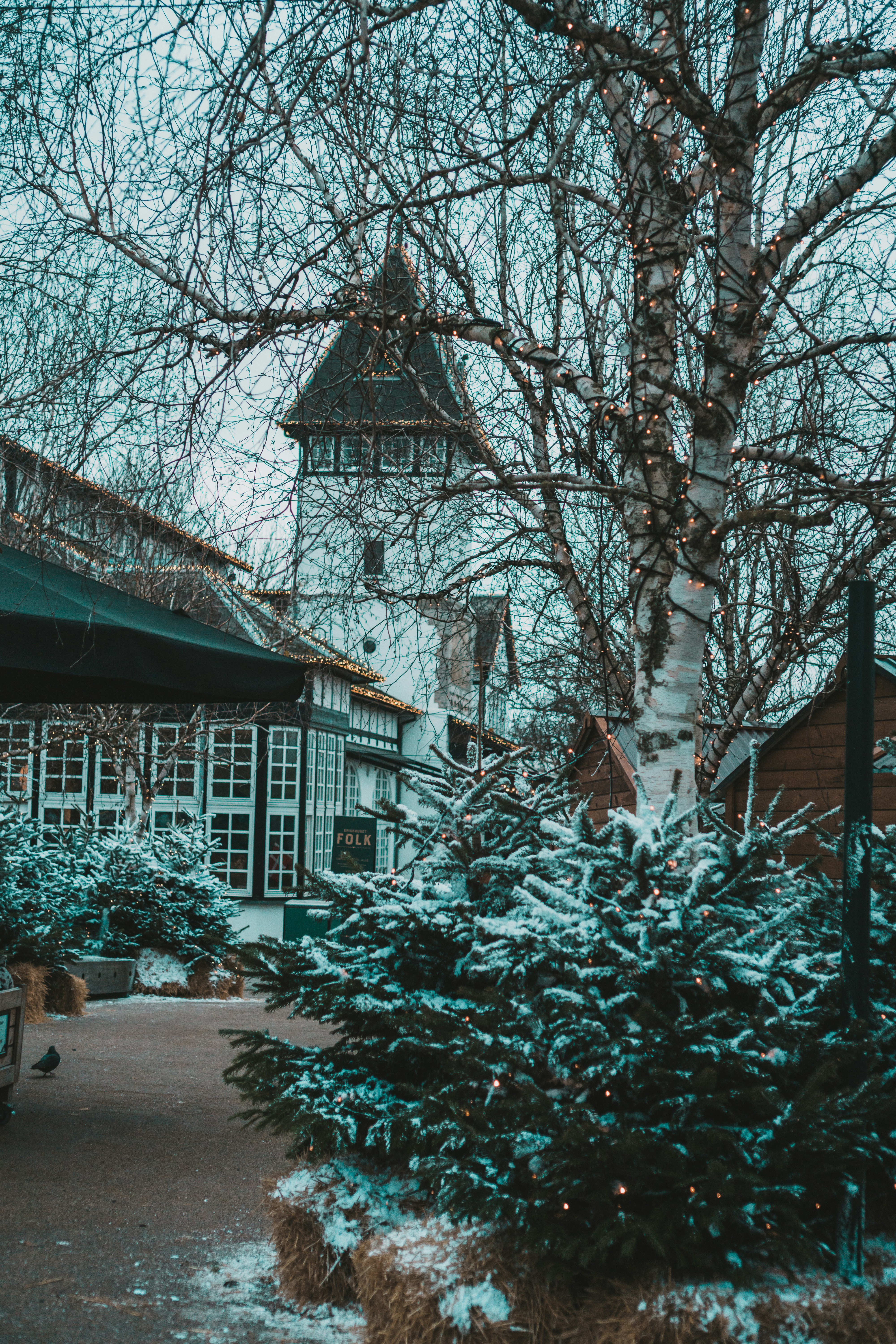 Photo by filizelaerts