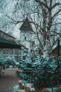 A wintry scene featuring a tall building with a pointed roof in the background, surrounded by bare trees adorned with string lights. Snow-covered evergreen shrubs and hay bales line the pathway leading to the building. The atmosphere is serene and festive, highlighting a winter theme.