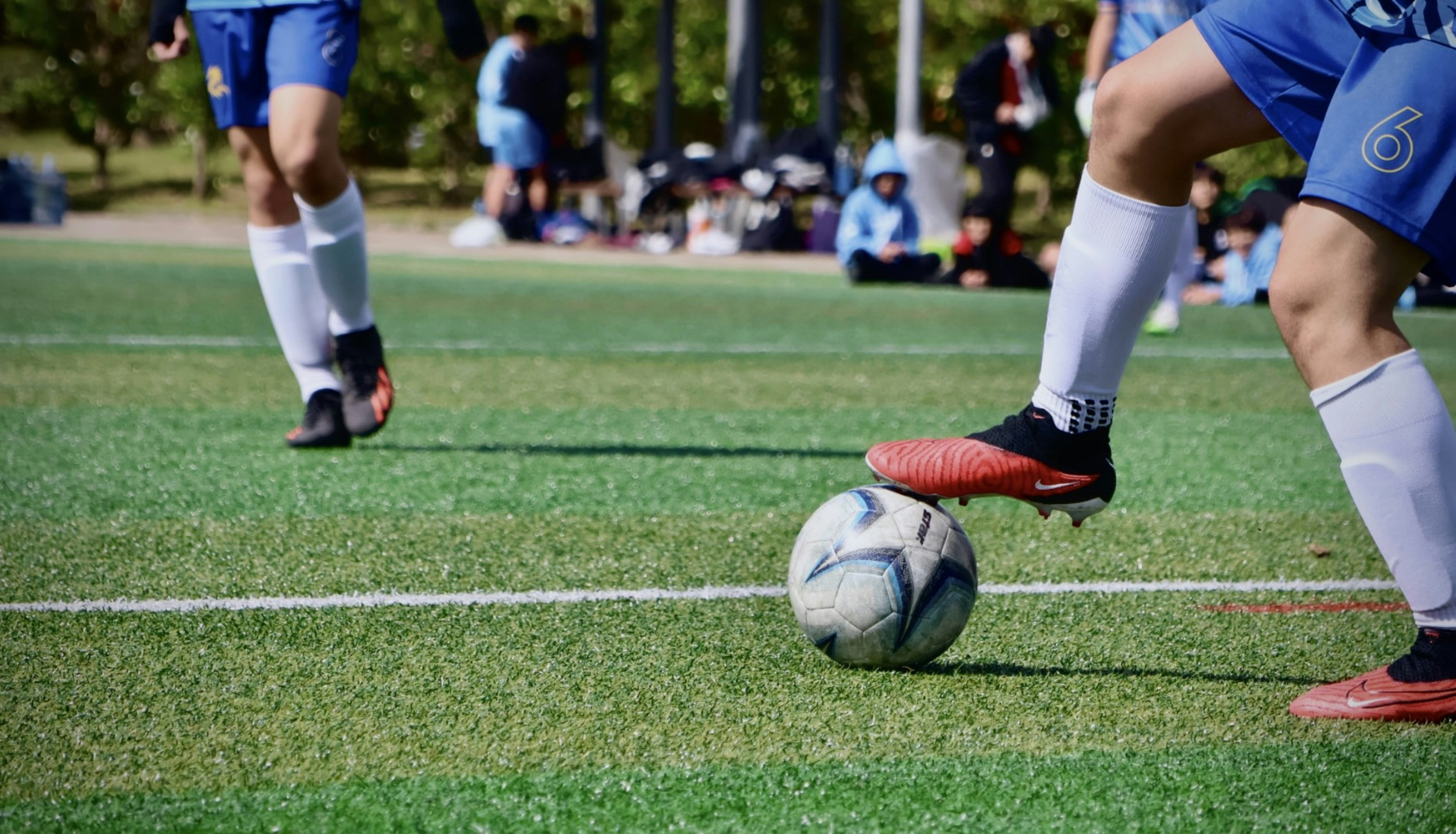 Photo by horseratbros