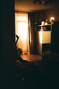A cozy room bathed in warm sunset light, with soft cushions and a glowing laptop showing the whatvibes.com vibe checker game.