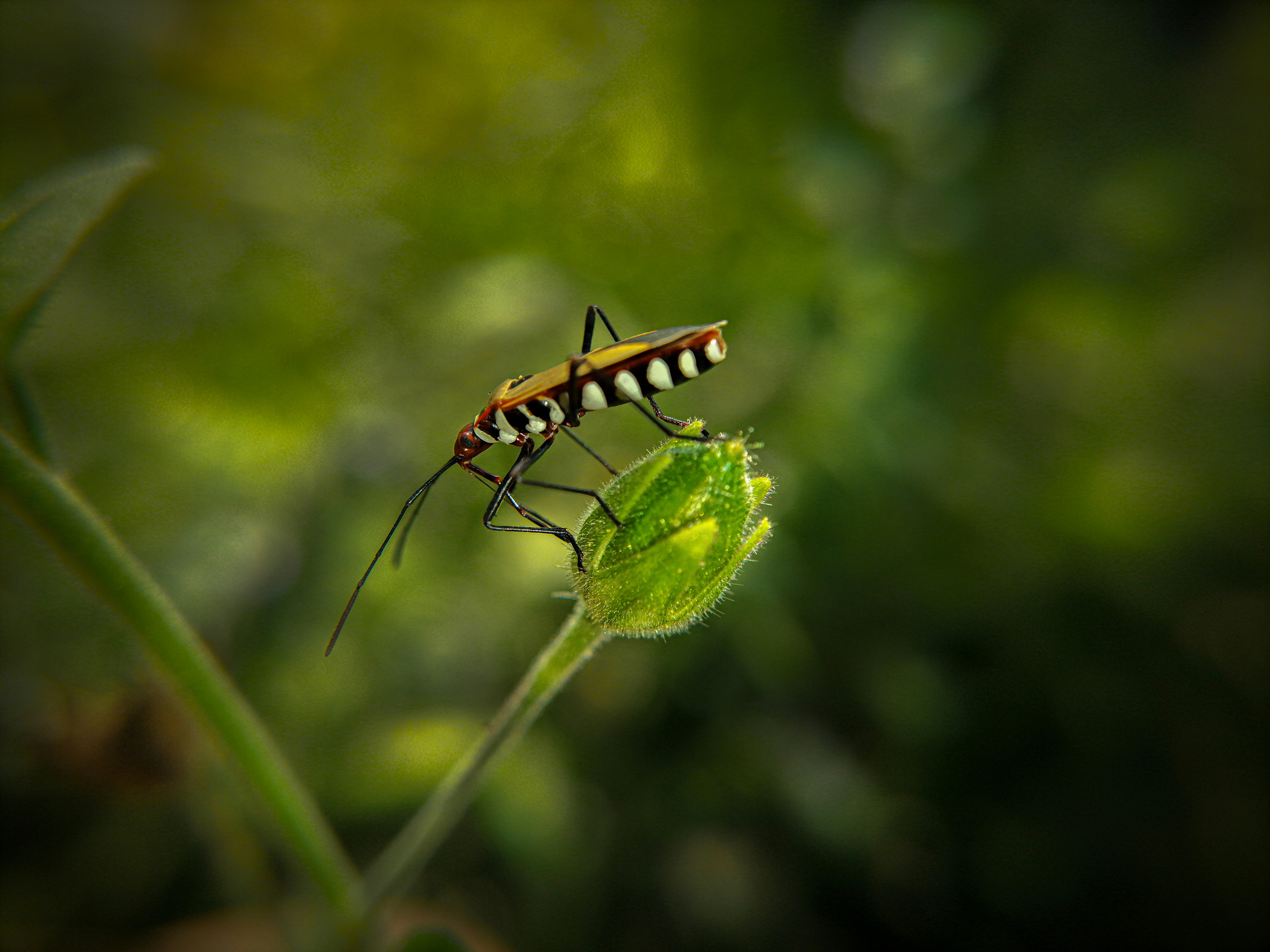 Photo by h_a_s_a_n_k_a