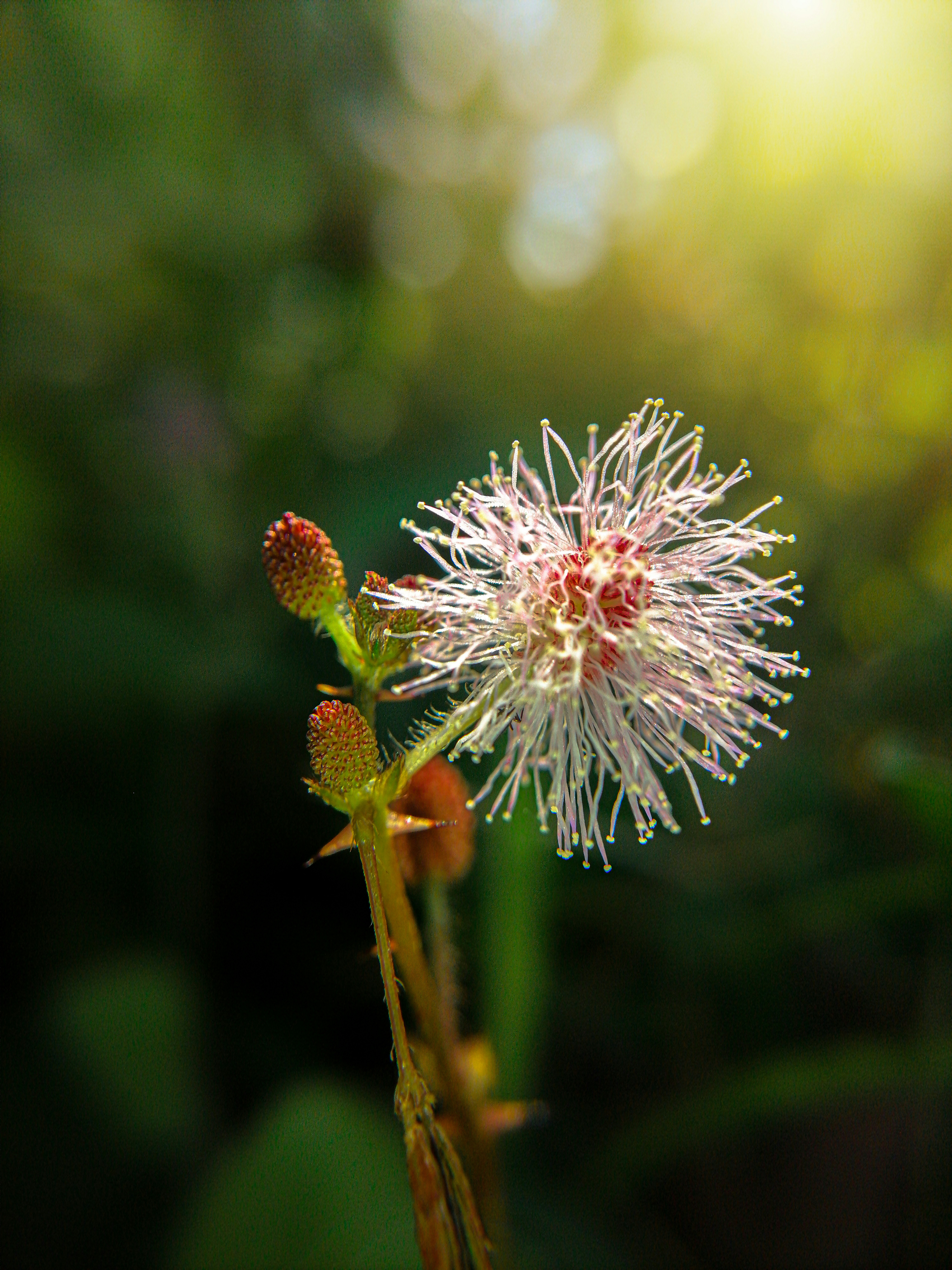 Photo by h_a_s_a_n_k_a