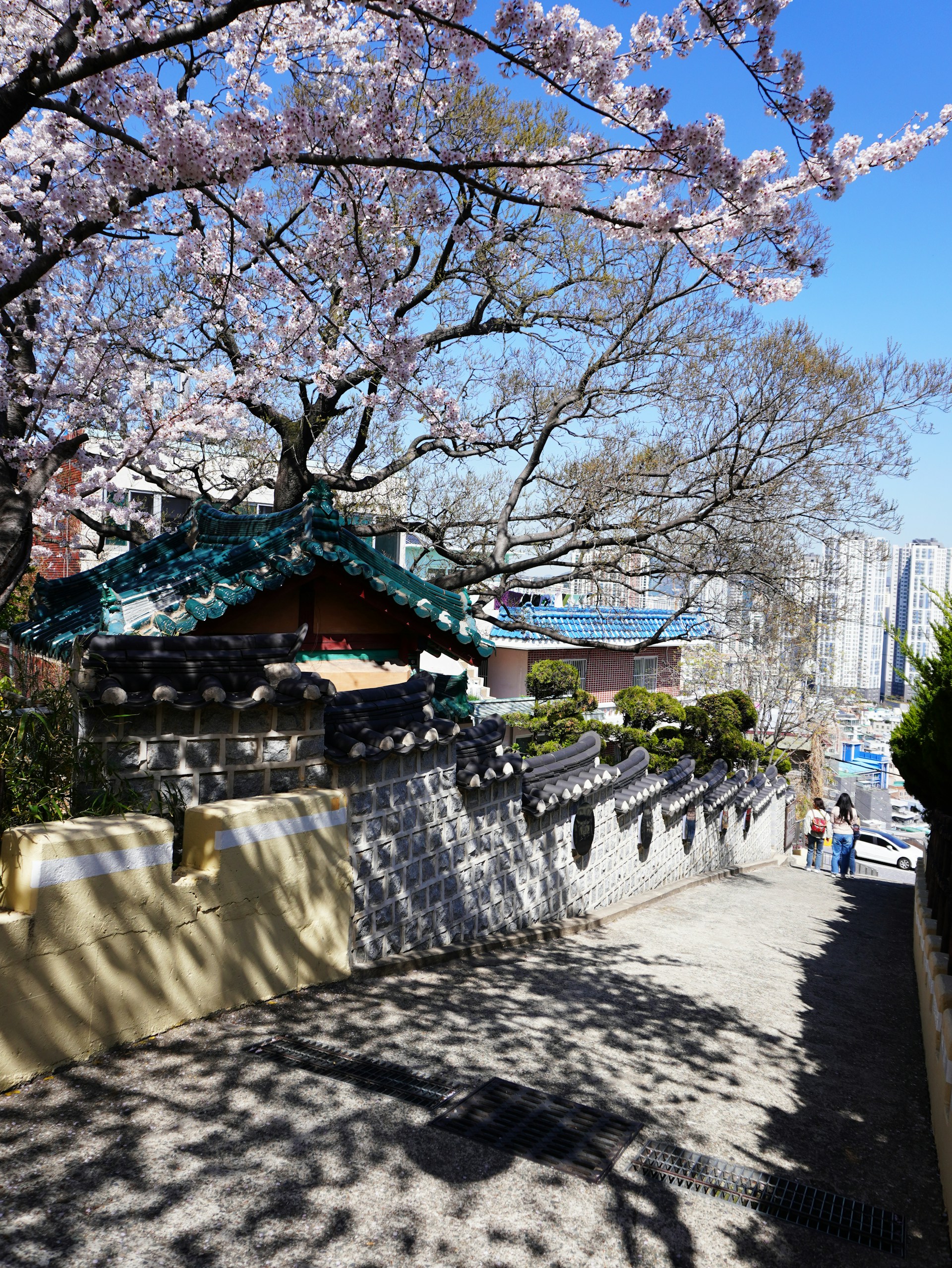 woman wearing yellow long-sleeved dress under white clouds and blue sky during daytime