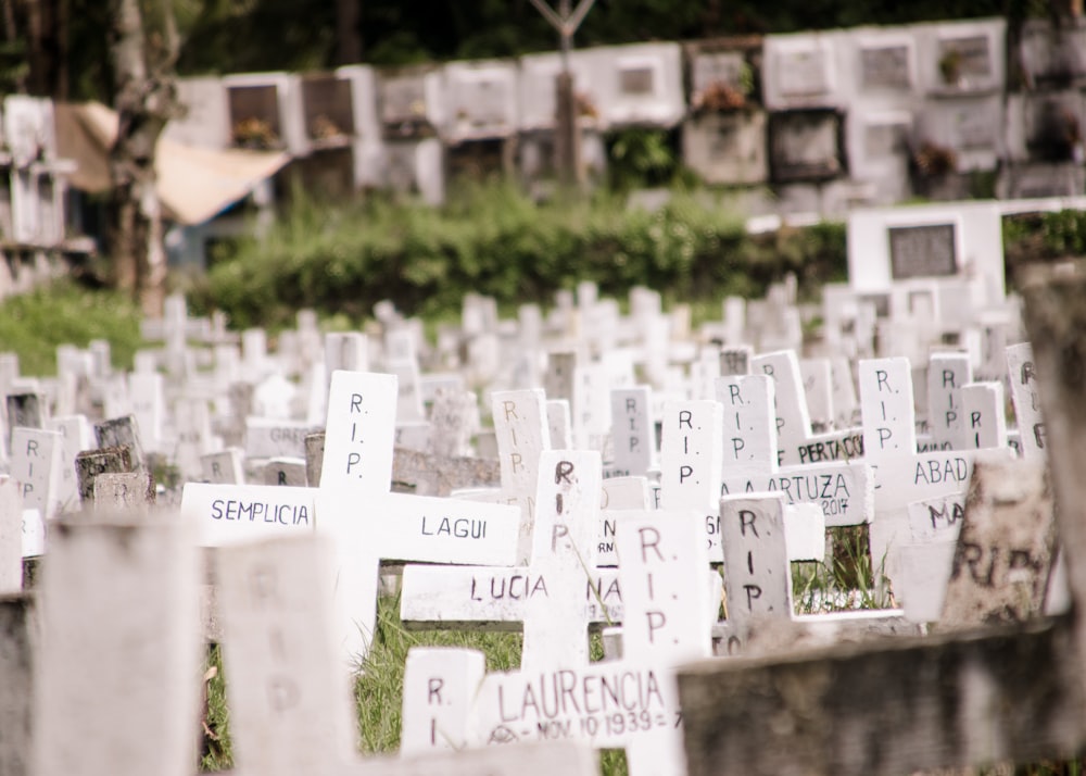 a cemetery filled with lots of white crosses