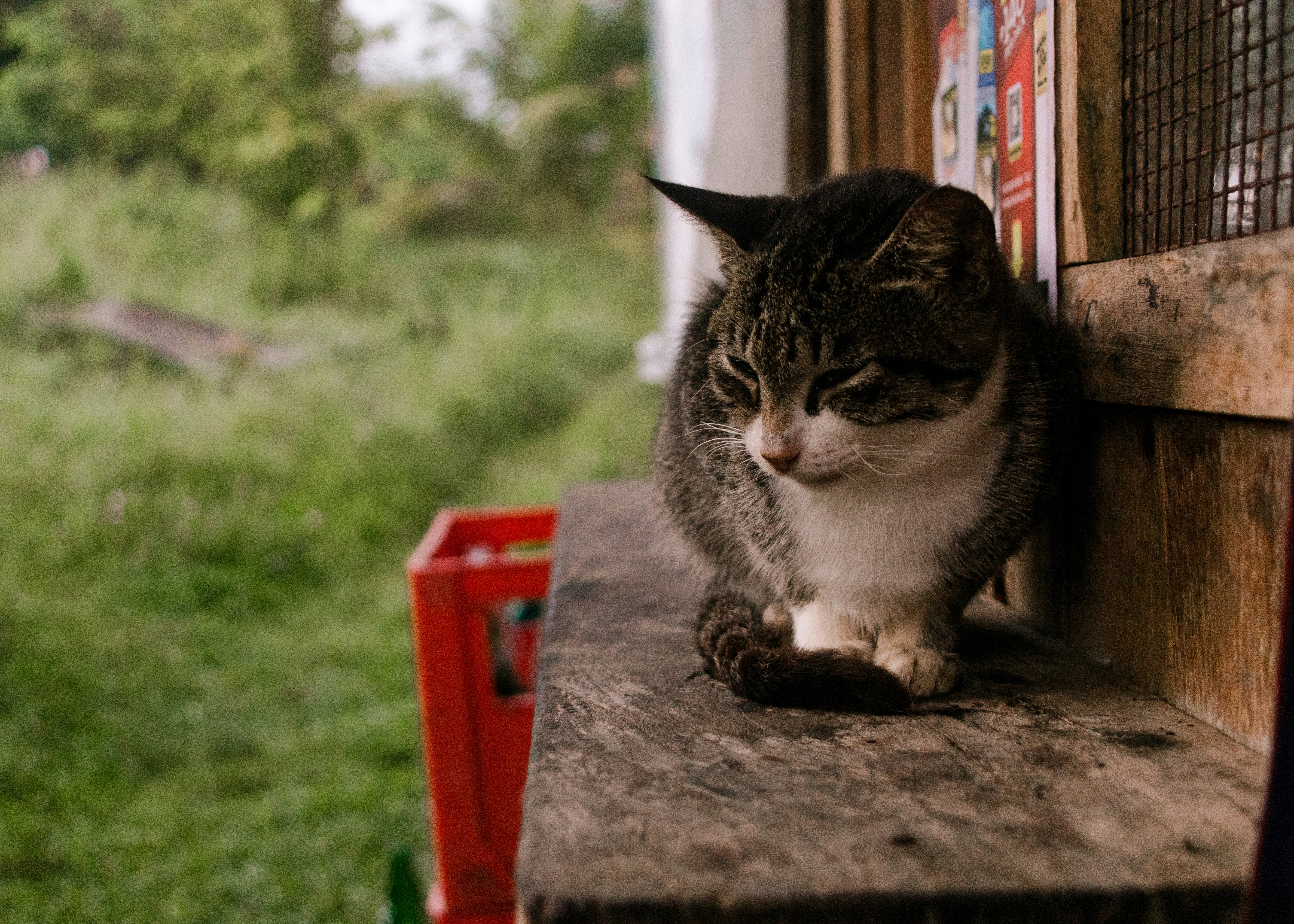 Photo by bhongbahala10