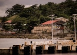 A coastal area features a waterfront with aged buildings, where the roofs appear weathered. Lush green trees and foliage surround the area, providing a natural backdrop. The sky is overcast, adding a muted tone to the surroundings. The water's edge is lined with rocks and a dock is visible in the foreground.