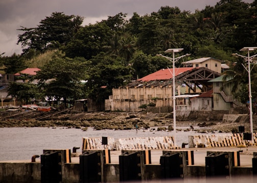 A coastal area features a waterfront with aged buildings, where the roofs appear weathered. Lush green trees and foliage surround the area, providing a natural backdrop. The sky is overcast, adding a muted tone to the surroundings. The water's edge is lined with rocks and a dock is visible in the foreground.