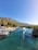 A serene riverside scene with several small boats moored along the bank. A boat with a canopy is moving through the clear, blue-green water, creating a gentle wake. The backdrop features lush greenery and a majestic mountain under a clear blue sky.