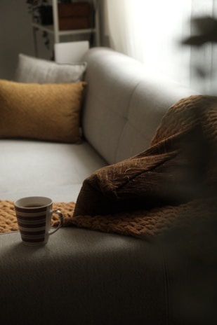 Cozy home essentials including soft blankets and stylish cushions on a comfy sofa.