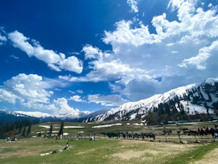 Sonmarg Trip for 3n