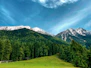 a grassy field with a mountain in the background