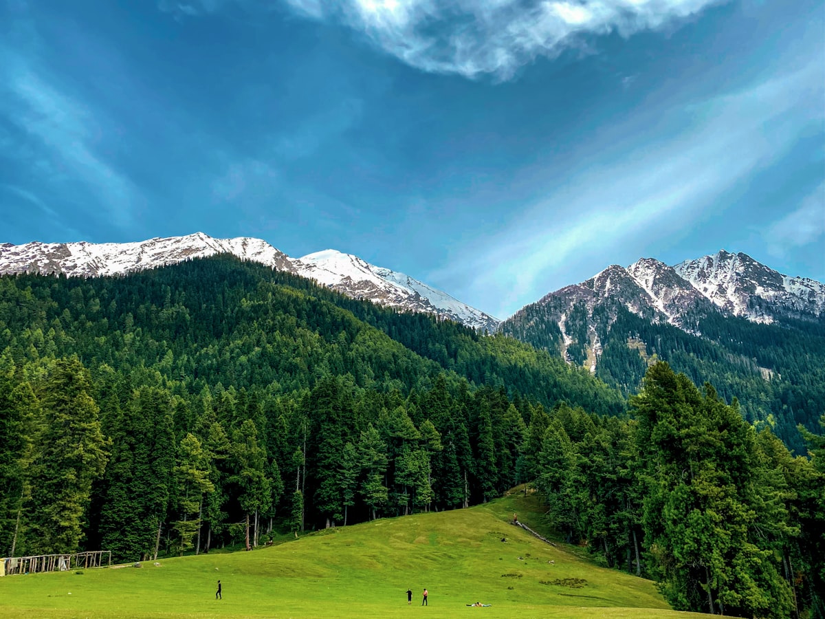 Pahalgam Kashmir valley — Lidder River pine forest Anantnag