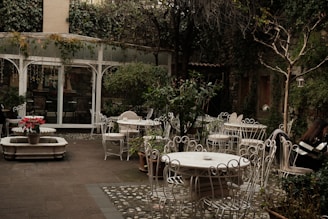 A quiet café terrace framed by ivy-covered walls, inviting solo travelers to pause and reflect