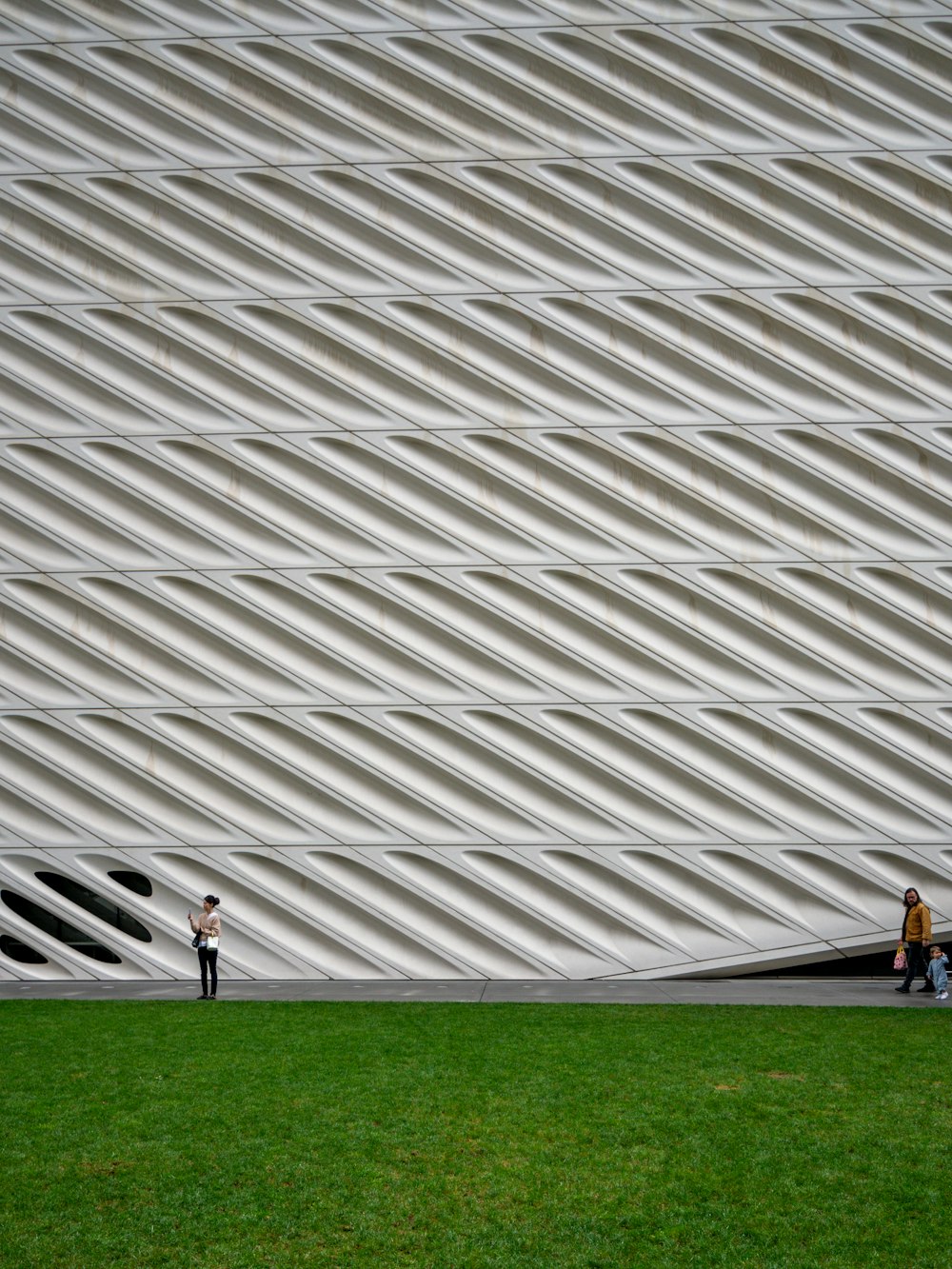 a couple of people that are standing in the grass