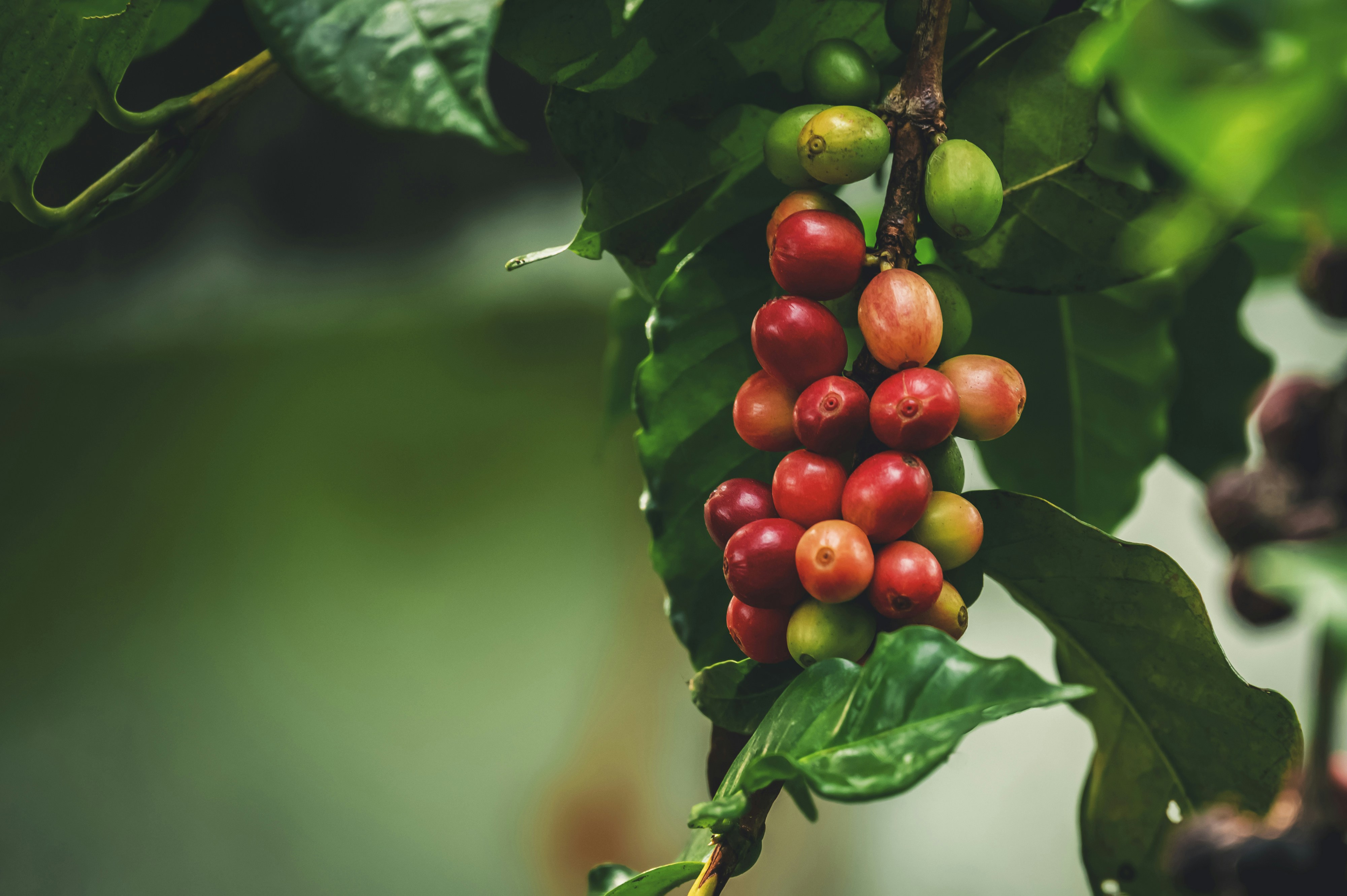 Photo by ngtg_haivan