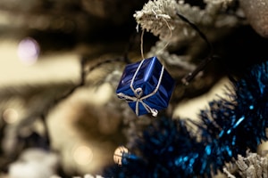 Silver Sparkle