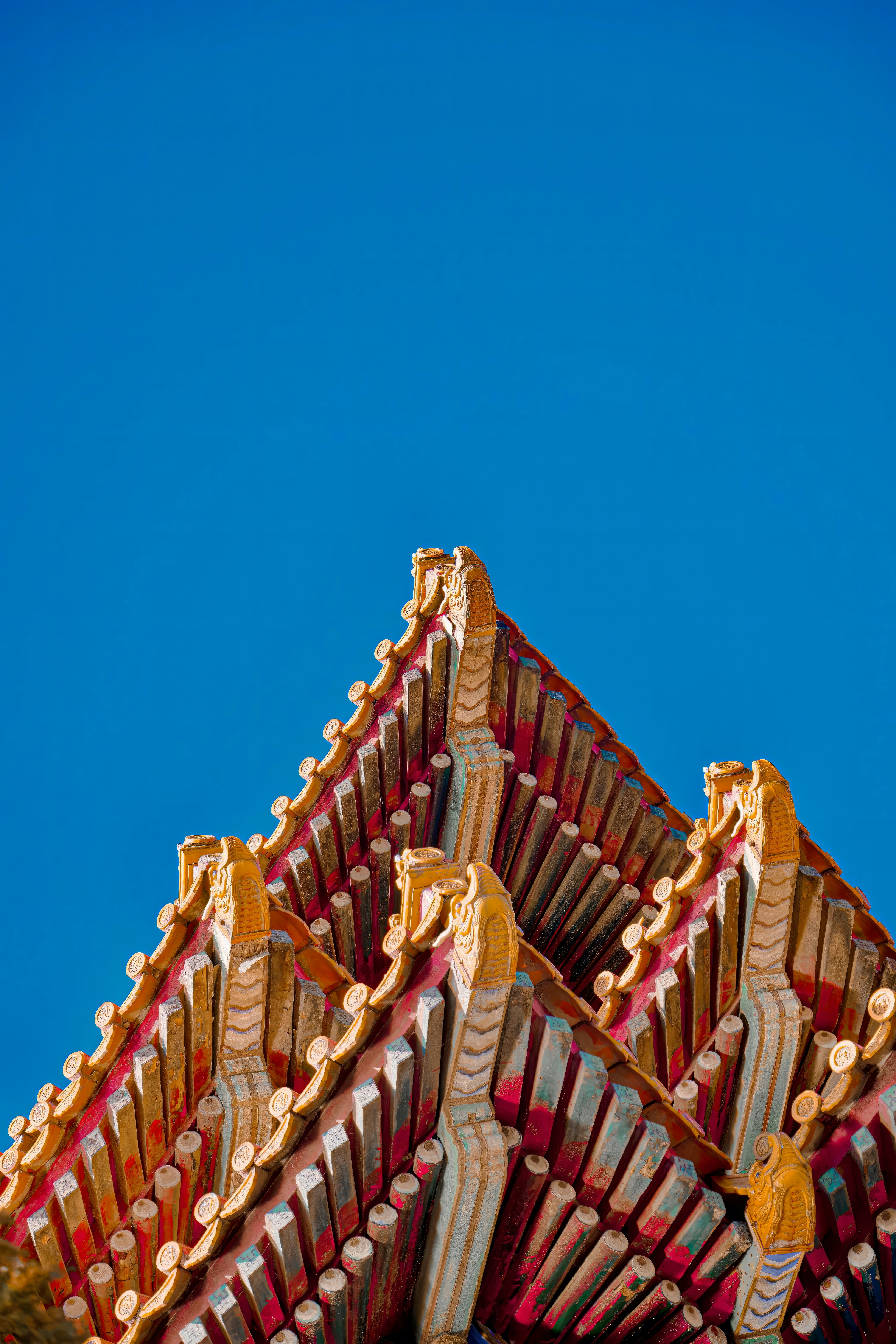 Photo by hattrick1996