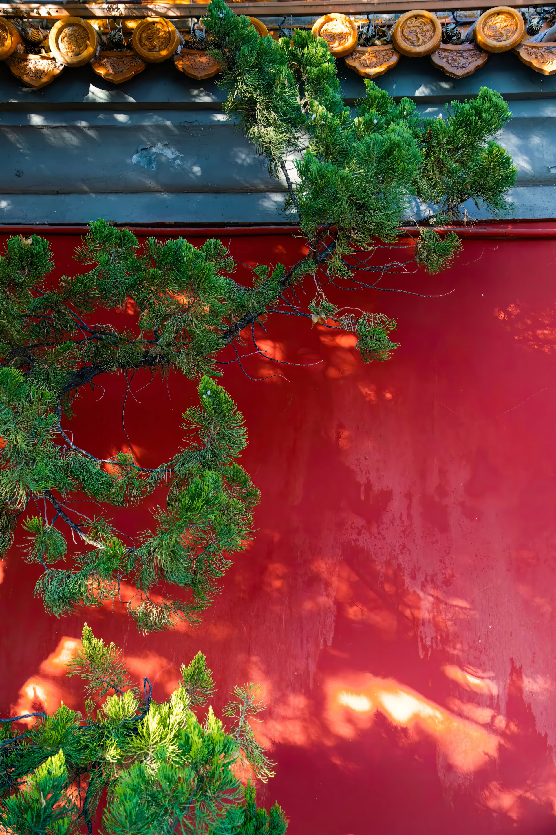 woman wearing yellow long-sleeved dress under white clouds and blue sky during daytime