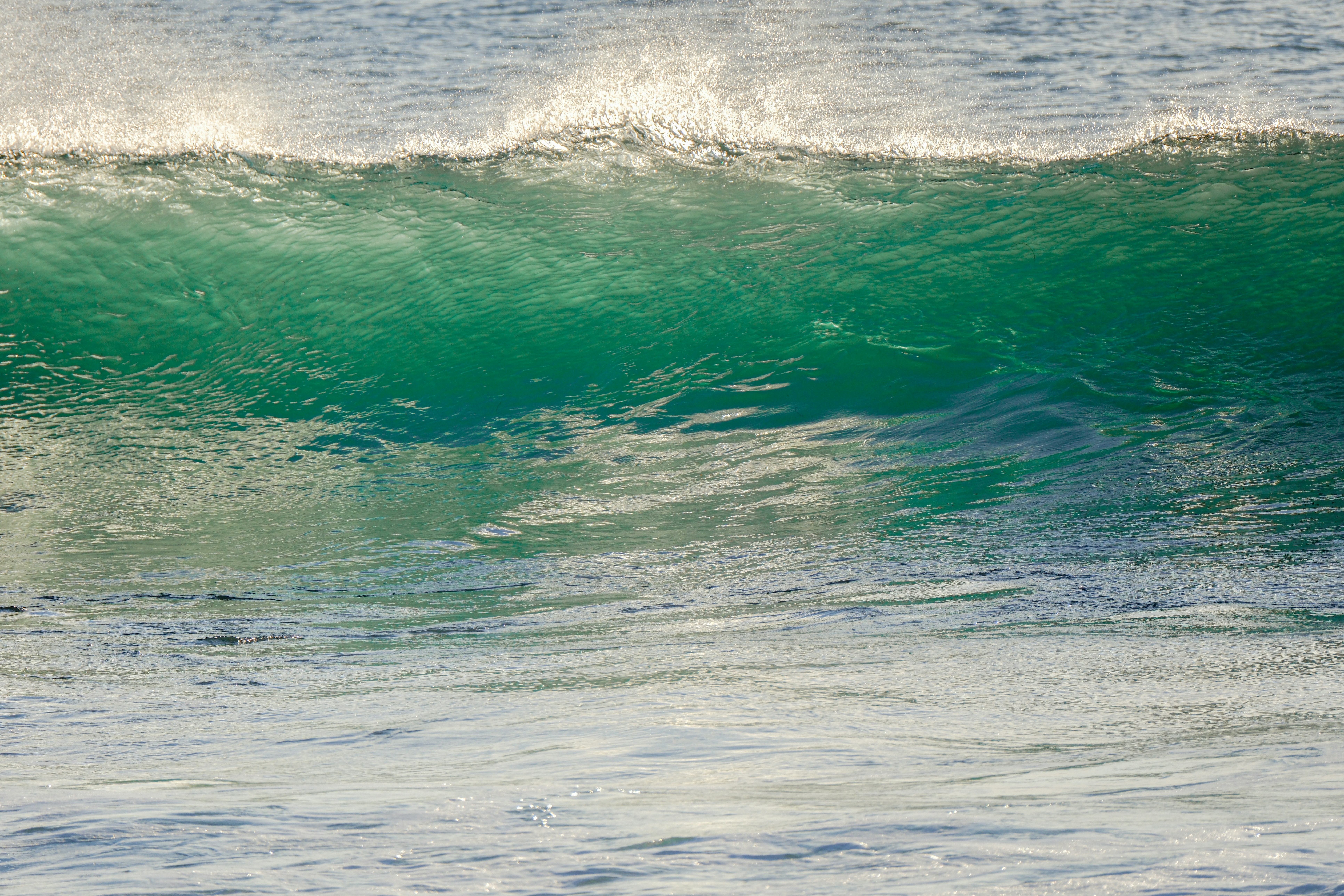 Marine Mineral Boost