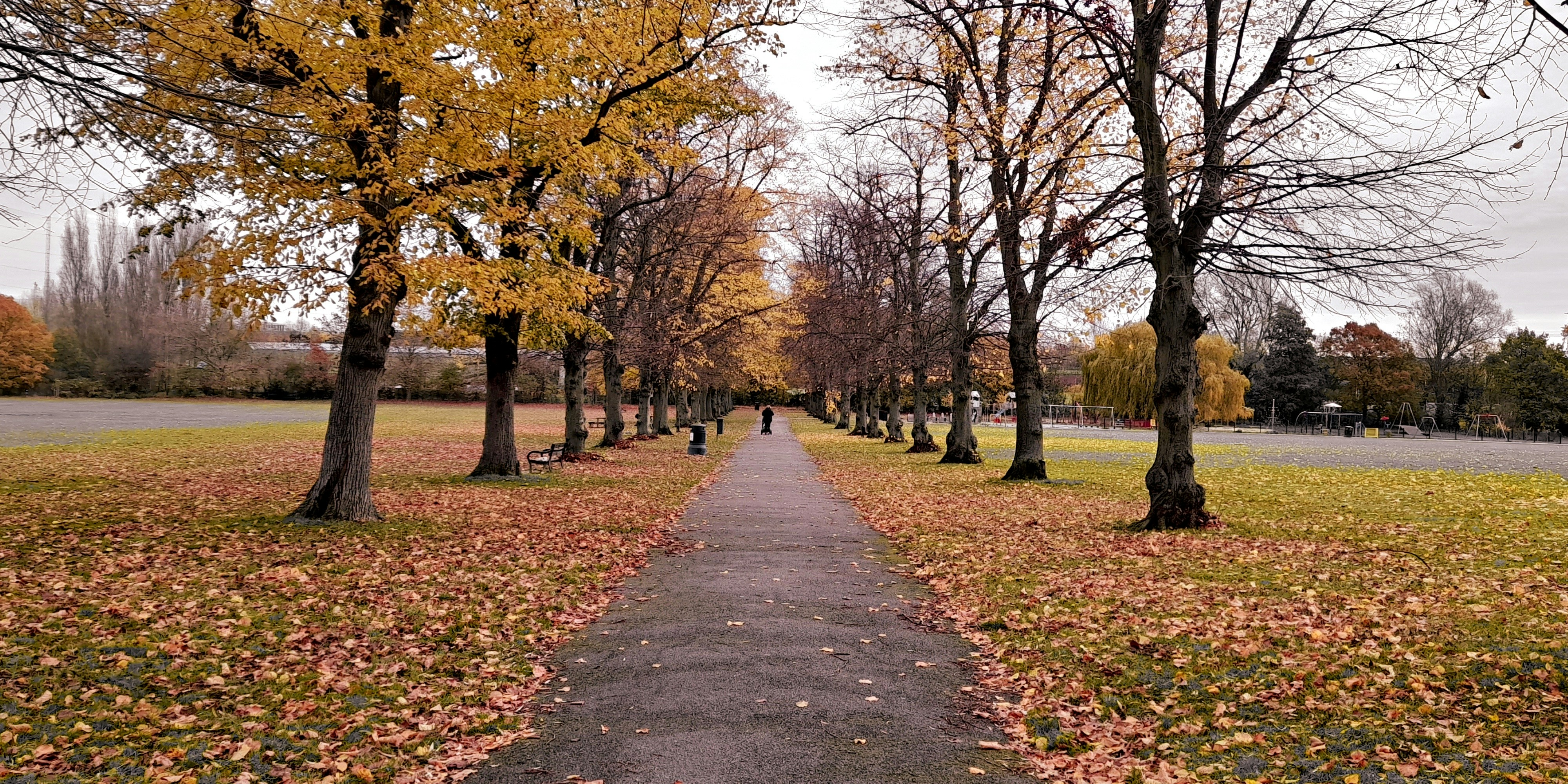 Photo by jakearuliah