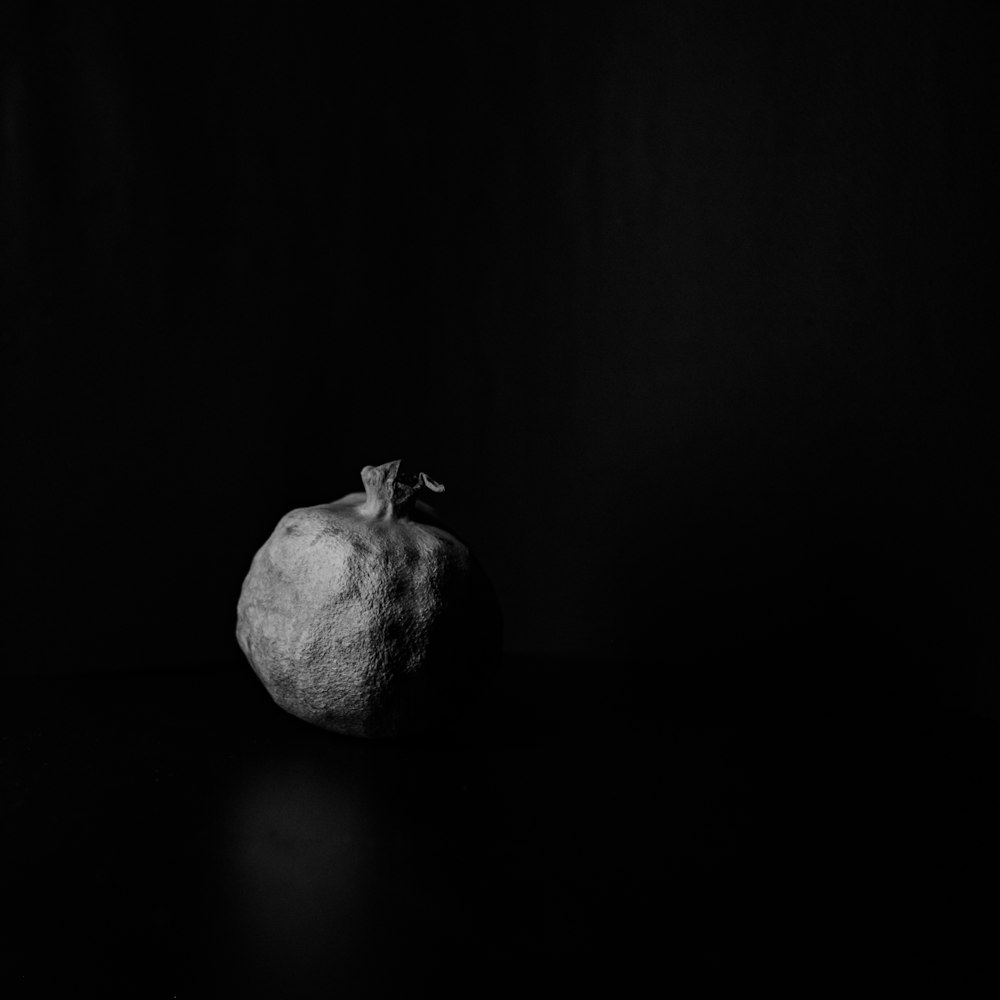 a black and white photo of an apple