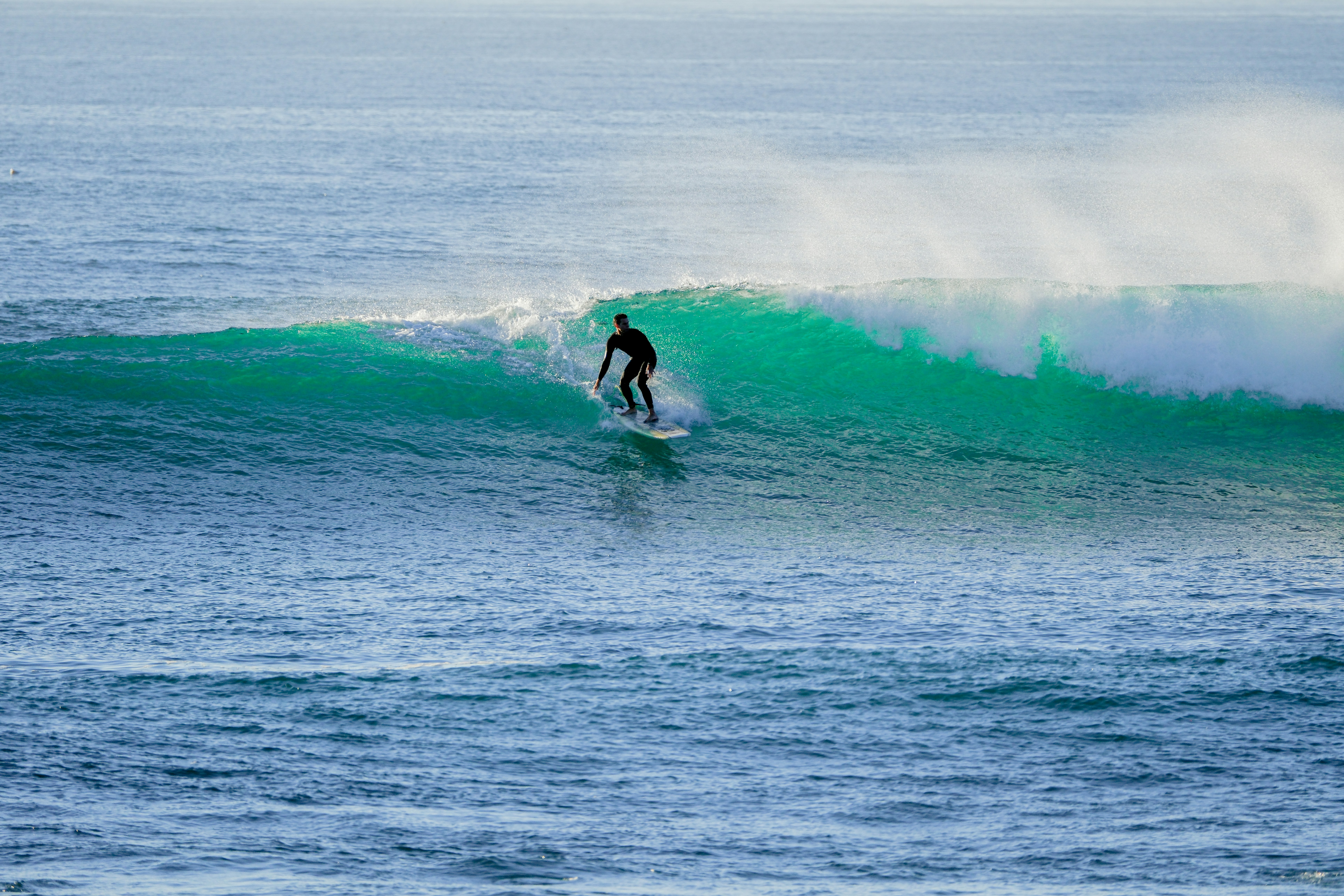 Book Your Surf Lesson