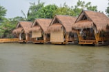 A row of traditional wooden huts built on stilts over water, featuring thatched roofs and bamboo structures. The huts are surrounded by lush greenery, including trees and plants, creating a serene and natural environment.