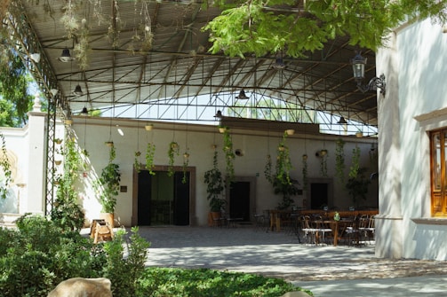 A covered outdoor space with hanging plants and vines suspended from a metal structure. The area includes wooden and metal tables and chairs, surrounded by greenery and a paved courtyard. The overhead metal roof provides shade and features several light fixtures. A wall with a single wooden-framed window and additional plants adorns the background.