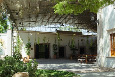 A covered outdoor space with hanging plants and vines suspended from a metal structure. The area includes wooden and metal tables and chairs, surrounded by greenery and a paved courtyard. The overhead metal roof provides shade and features several light fixtures. A wall with a single wooden-framed window and additional plants adorns the background.
