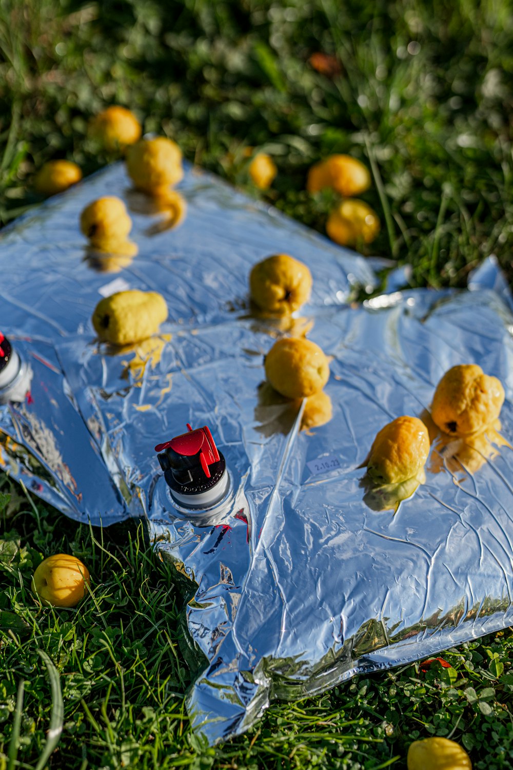 a bunch of food that is laying on the ground