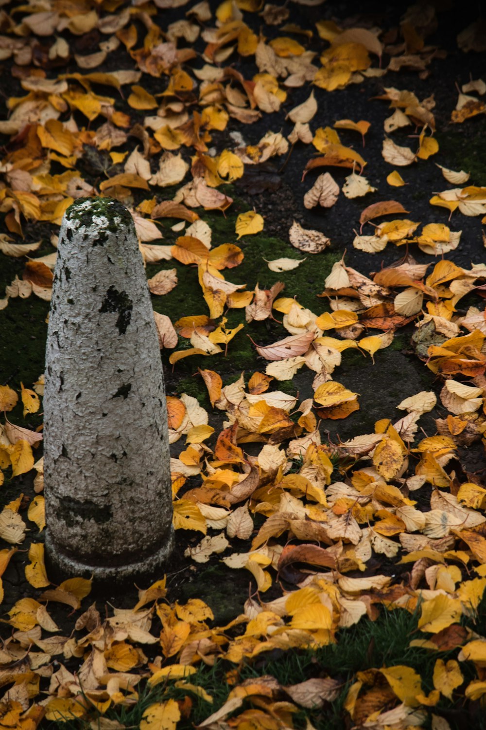 a stone marker surrounded by leaves on the ground