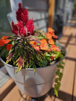 A rustic terracotta planter filled with vibrant green plants on a wooden deck.