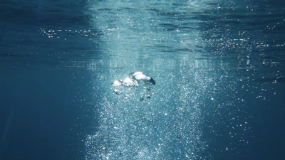 Bubbles rising in a clear whirlpool designed for wound care and spa treatments